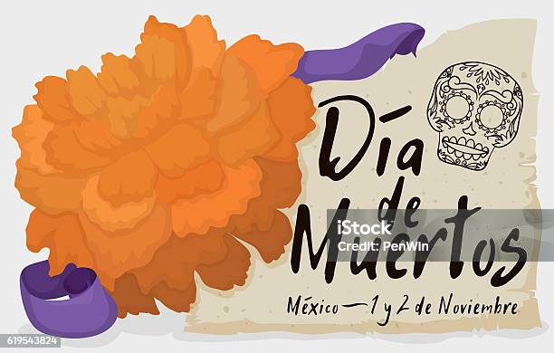 Cempasuchil Flower With Scroll And Ribbon Celebrating Dia De Muertos Stock Illustration - Download Image Now