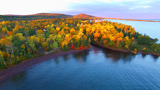 素晴らしい秋の風景、湖のある森、秋の色、空中写真 - forest autumn aerial view leaf ストックフォトと画像