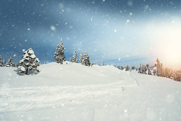 istock Early Winter Morning 619545086