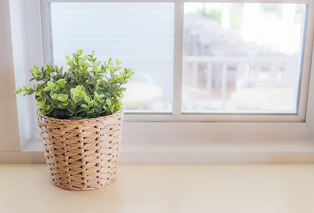 istock Ornamental plants by the window. The interior is beautiful. 619629210