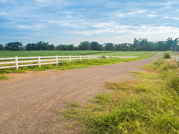 istock Dirt Road in farm with blue sky landscape 619629986