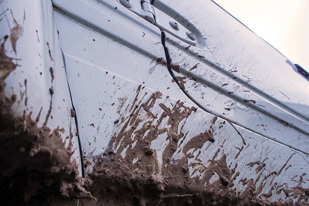 istock Mud stain on the side of car 619630858