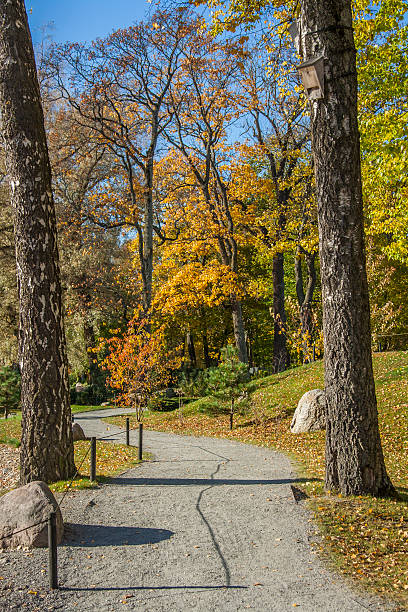 istock Autumn Alee In The Park 619631224