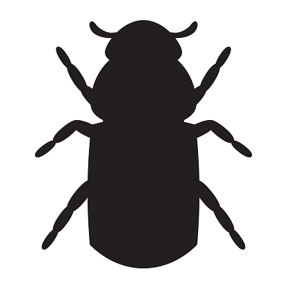 Icon bark beetle. Silhouette of a bark beetle isolated on the white background.