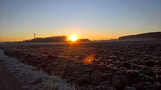 morning frost at sunrise