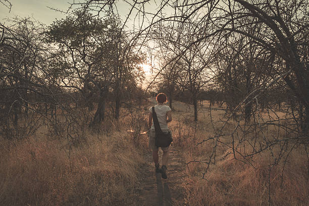 tourist walking in the bush at sunset, namibia, africa - landscape panoramic kalahari desert namibia imagens e fotografias de stock