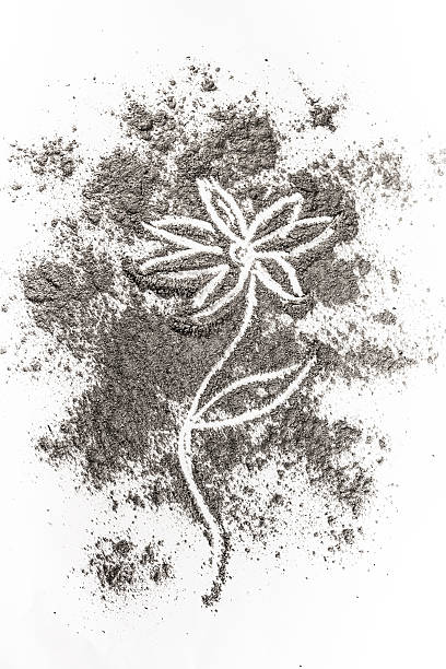 istock Flower drawing illustration concept in ash, dust, dirt 619637038