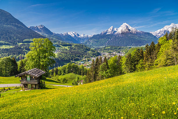istock Alpine scenery with traditional mountain chalet in summer 619638870