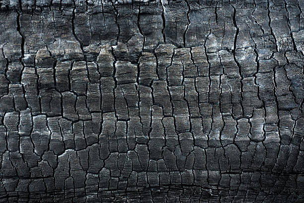 istock Texture of burned wood 619643798