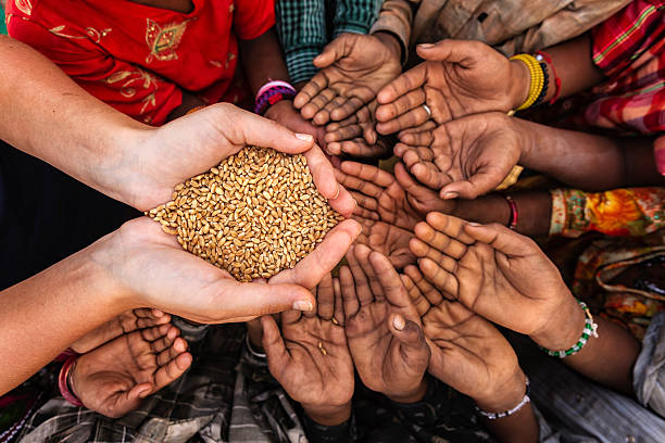 Hungry African children asking for food, Africa Volunteer caucasian woman giving grain to starving African children. Poor African children keeping their hands up - asking for food. children raising hands begging for food in a developing country stock pictures, royalty-free photos & images