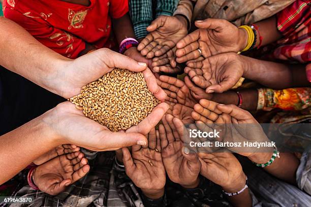 Hungry African Children Asking For Food Africa Stock Photo - Download Image Now - Poverty, Hungry, Famine