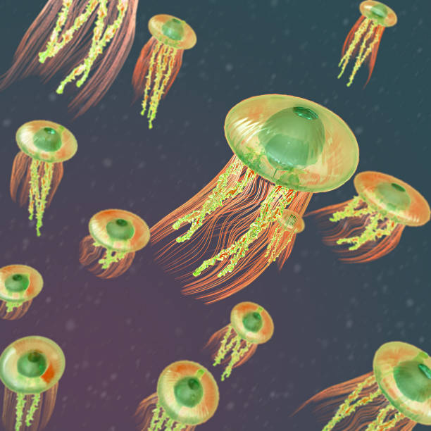 istock jellyfish colorful abstract background 619644224