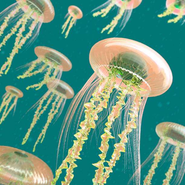 istock jellyfish colorful abstract background 619644282