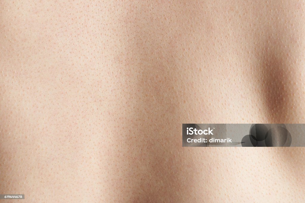 Skin Backgoround Skin Texture Background Stock Photo - Download Image Now - Abstract ...