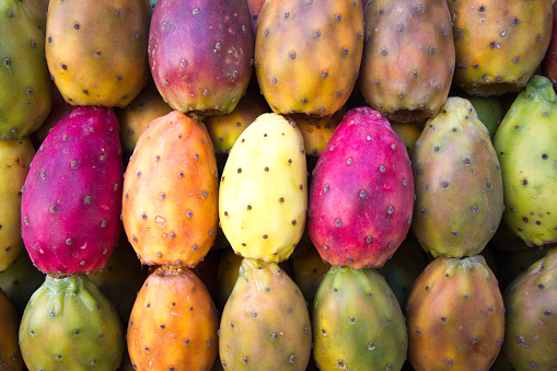 Vibrant red, yellow, orange, and green prickly pears carefully lined up  (close-up full frame).