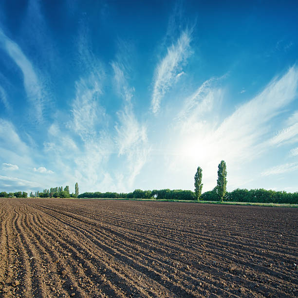 istock black agricultural field and sun in cloudy sky 619645552