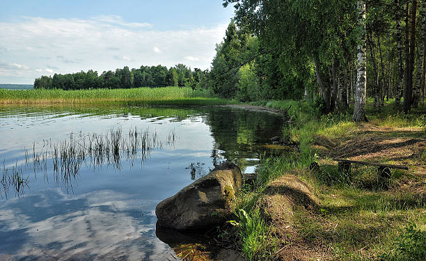 istock In lake Otradnoe i 619645946