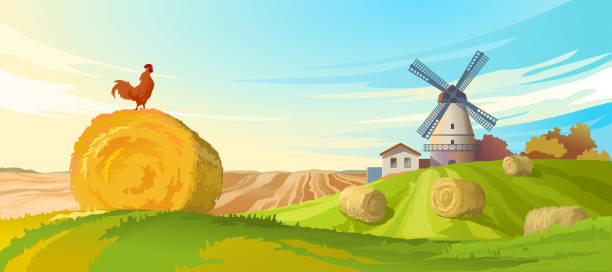 векторная иллюстрация сельского летнего пейзажа - bale hay field stack stock illustrations
