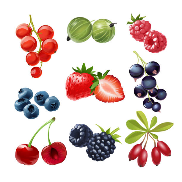 ベクトルアイコンジューシー熟した果実のセット - strawberry fruit isolated freshness点のイラスト素材／クリップアート素材／マンガ素材／アイコン素材