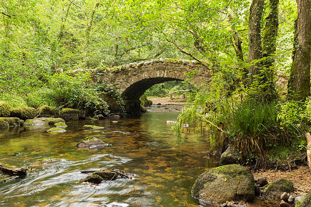 puente hisley - dartmoor fotografías e imágenes de stock