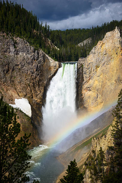 istock Yellowstone National Park 619649564
