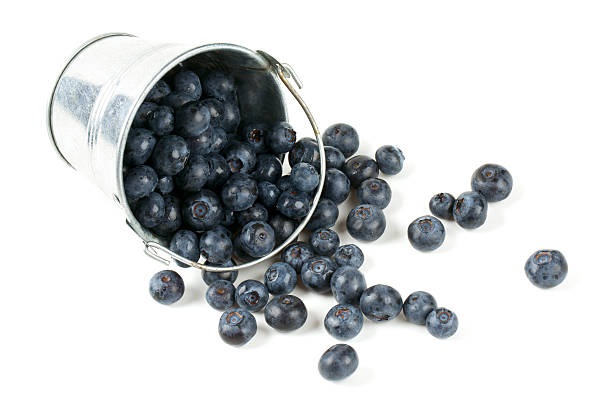 istock fresh blueberries in a bucket over white 619650262