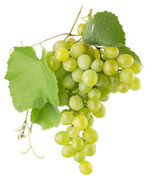 istock green grapes isolated on the white background 619651108
