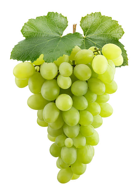 istock green grapes isolated on the white background 619651170
