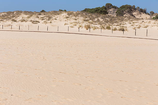 istock Sardegna Beach, Italy 619651580