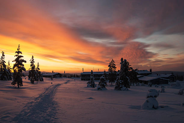 istock Winter landscape in Finland 619652418