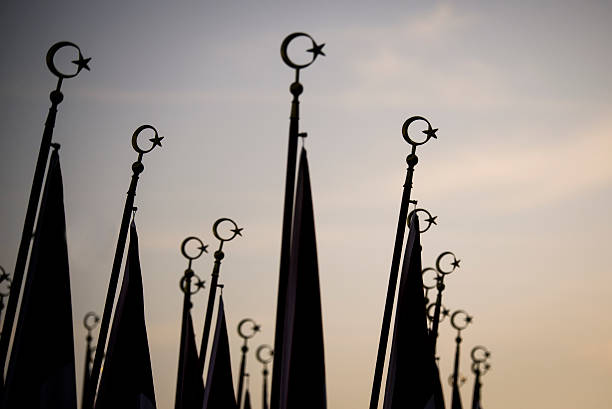istock Flags silhouettes and crescent and star. 619652788