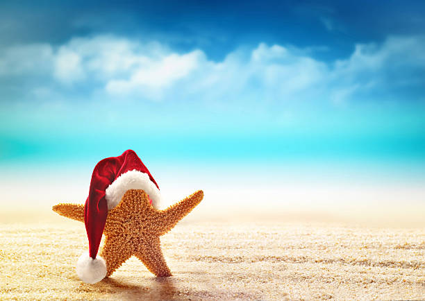 istock starfish in santa hat at the seaside 619653954