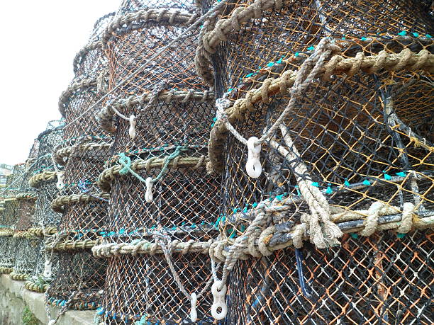 istock Quayside fishermen's creels 619653992