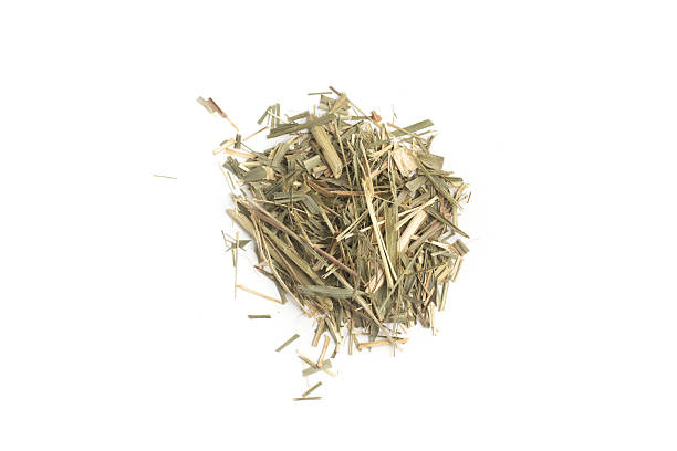 istock Lemon Grass. Citratus cymbopogon. Limao Grass, Saint. 619655616