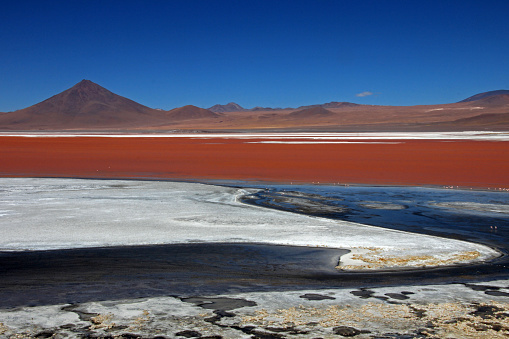 The nice red colored Laguna Colorada in southern Bolivia, South America