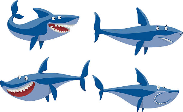 illustrations, cliparts, dessins animés et icônes de jeu de caractères de requin vectoriel. - human teeth vector illustration and painting cartoon