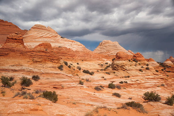 istock Coyote Butte at The Wave, Page, Arizona 619656270