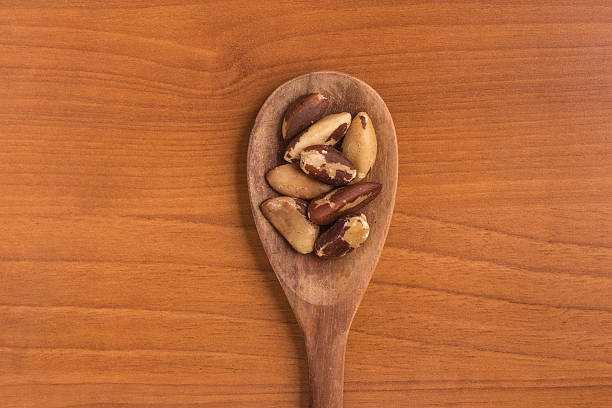 istock Brazilian Nuts into a spoon. Para Chestnut 619657444