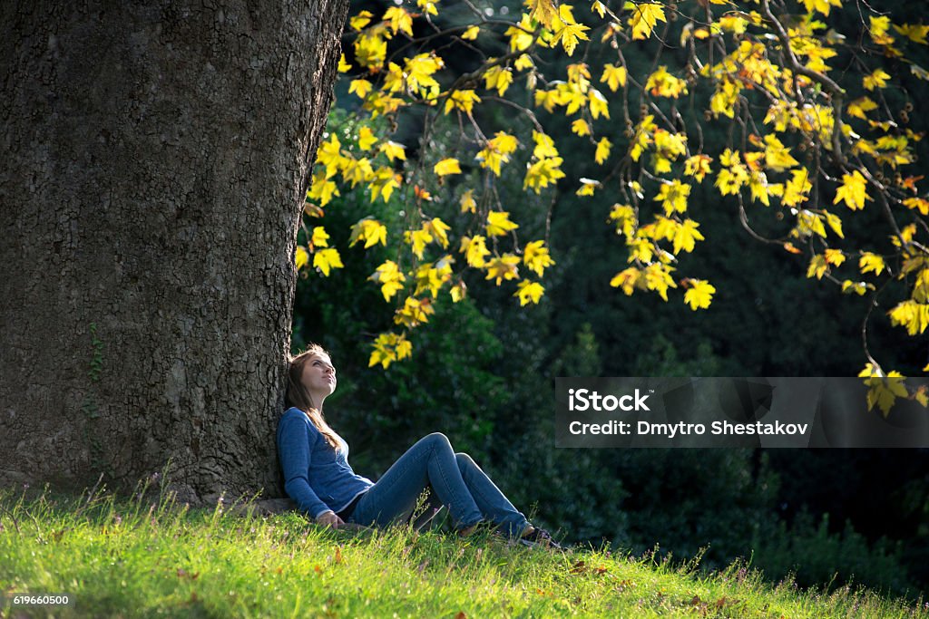 Girl sitting on the grass under maple tree in autumn Girl sitting on the grass under a maple tree in autumn Tree Stock Photo