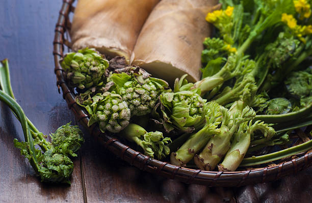 istock Spring of edible wild plants 619662314
