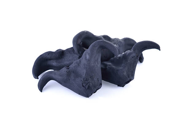 istock boiled bull horn Shaped Water Caltrop nut on white background 619662456