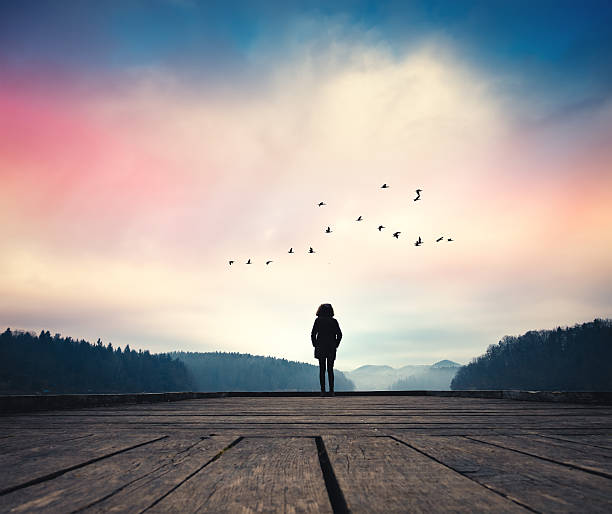 Morning By The Lake Woman standing on jetty and watching sunrise by the lake. flock of birds stock pictures, royalty-free photos & images