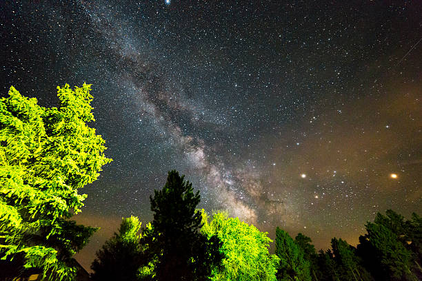 Trees Frame a Spectacular Starry Night Sky in Wyoming