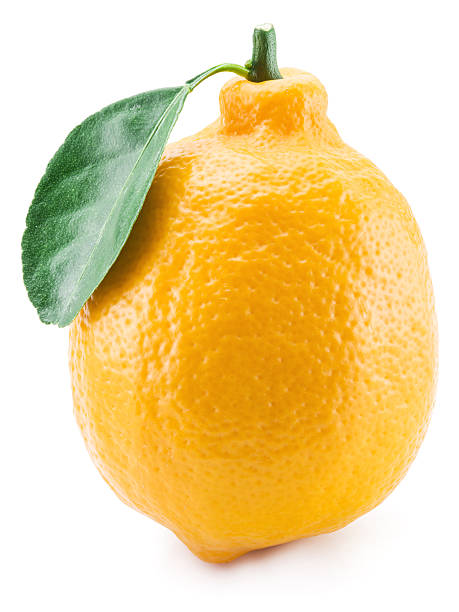 istock Ripe lemon fruit on the white background. 619671922