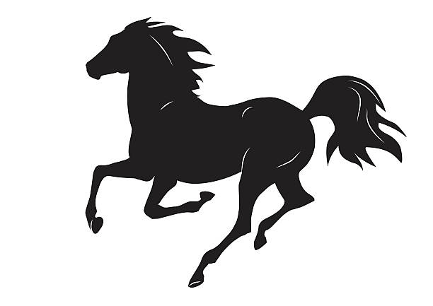 ●黒走馬のシルエット-ベクトルイラスト - horse silhouette点のイラスト素材／クリップアート素材／マンガ素材／アイコン素材