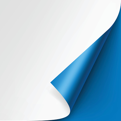 Vector Curled corner of White paper with shadow Mock up Close up Isolated on Bright Blue Background