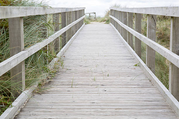 istock Footpath to Maghera Beach, Ardara, Donegal 619728930