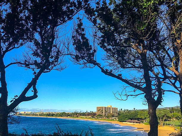 istock Maui beach, Hawaii, USA 619729248