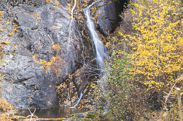 istock waterfall in the mountains and the autumnal trees, long exposure 619732256