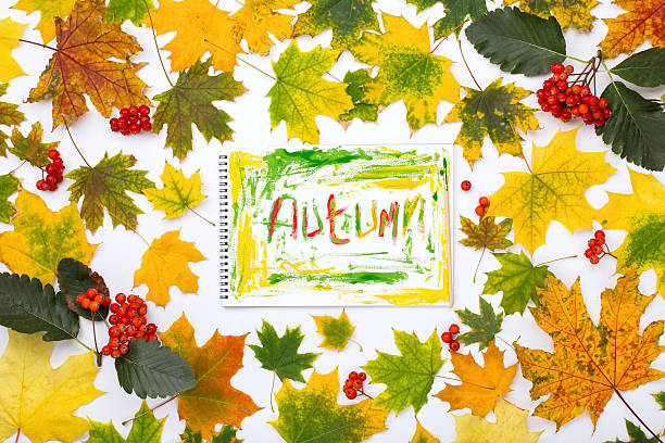 palavra outono em um álbum com folhas de outono - dry leaves audio - fotografias e filmes do acervo